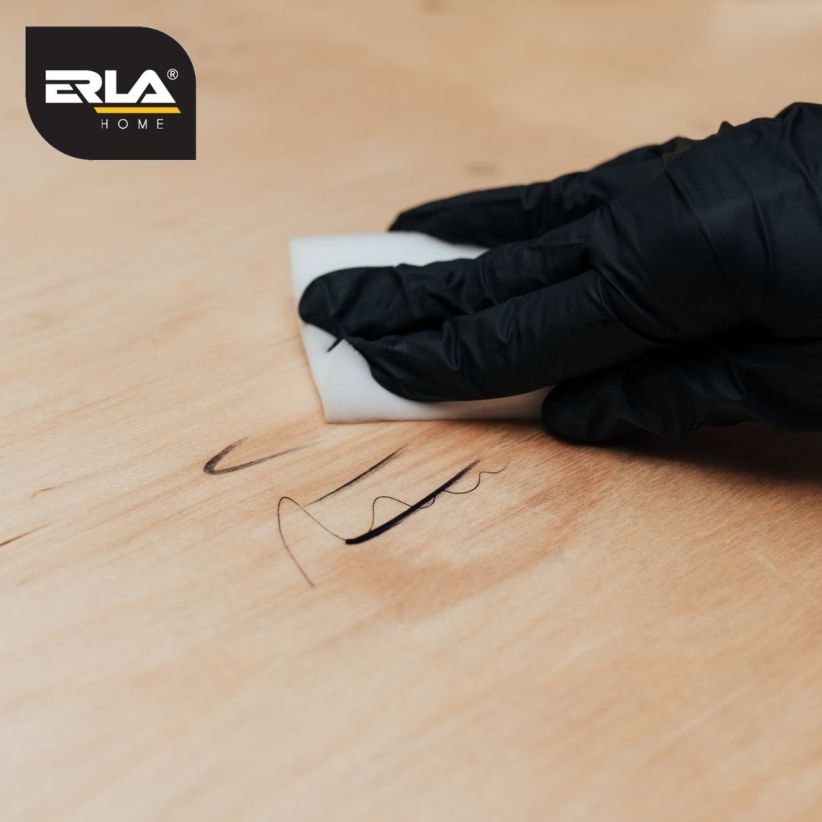 ERLA MEGGI Magični sunđer